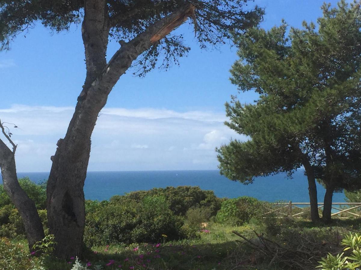 Carvoeiro Sol Seafront Apartment Luaran gambar
